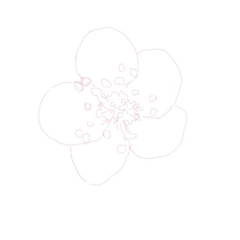 木木哒哒