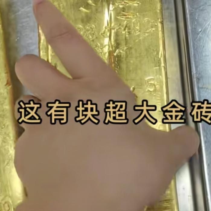 砖哥人生666