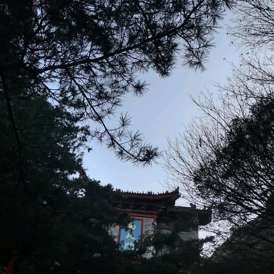 何为情，何为爱。