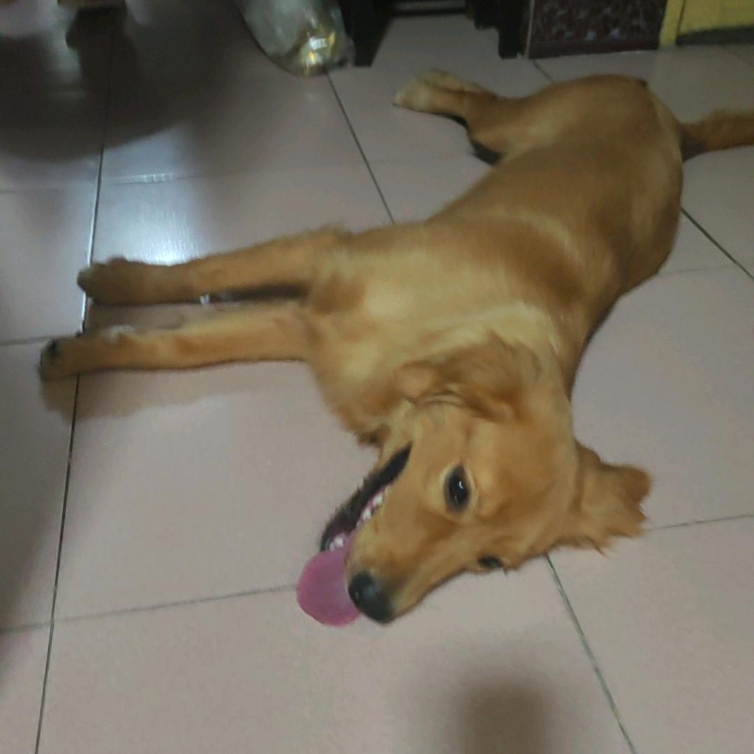美美