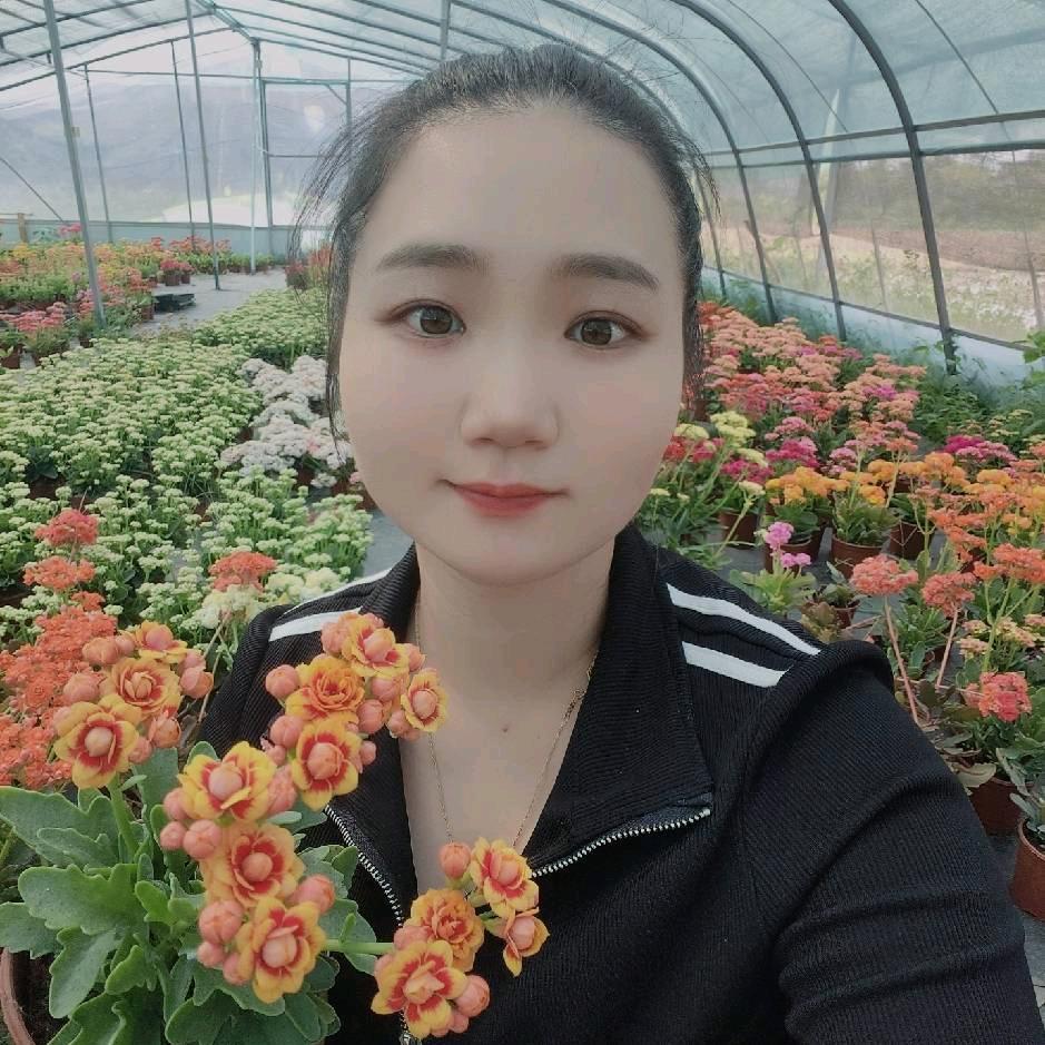 羊羊花园