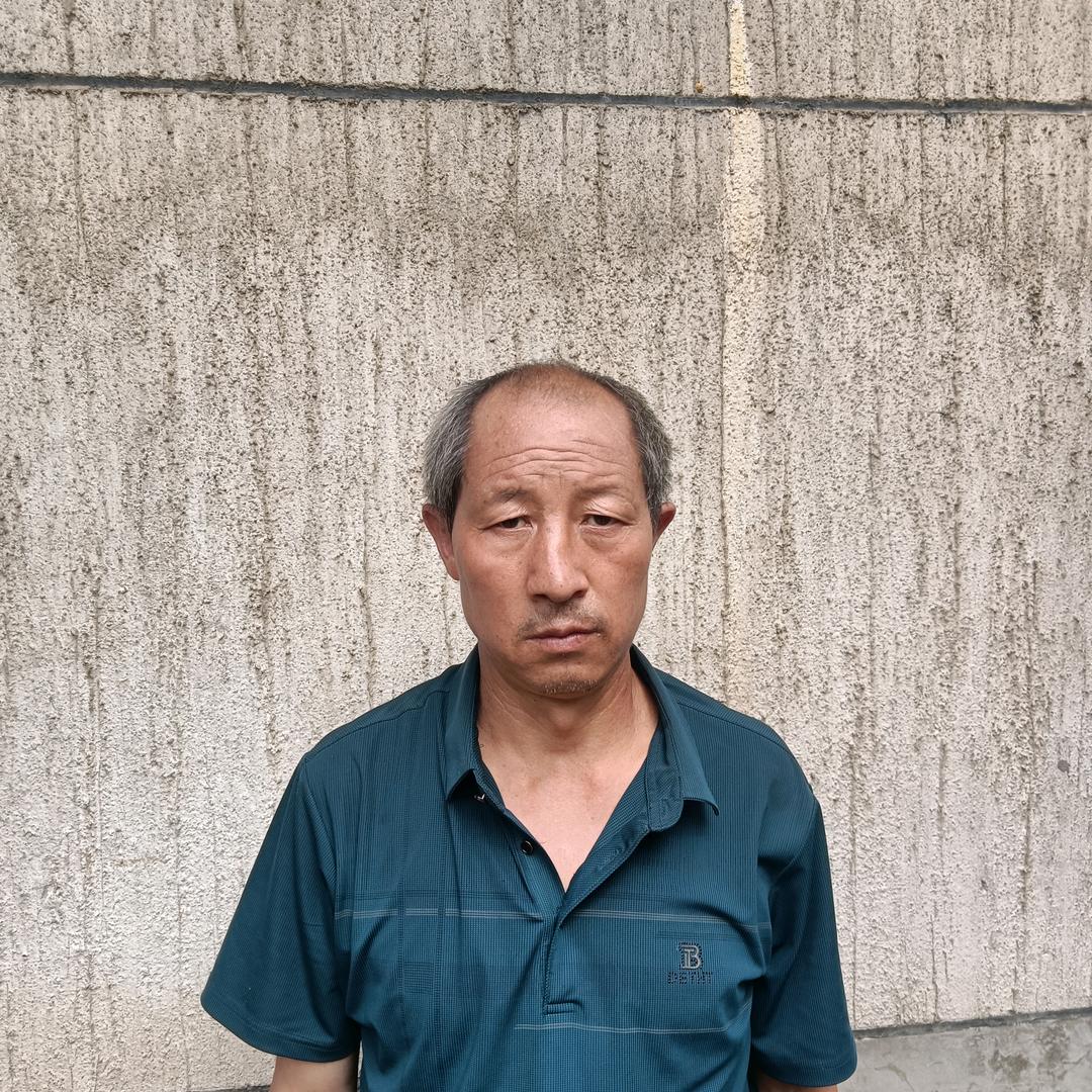 单身独立