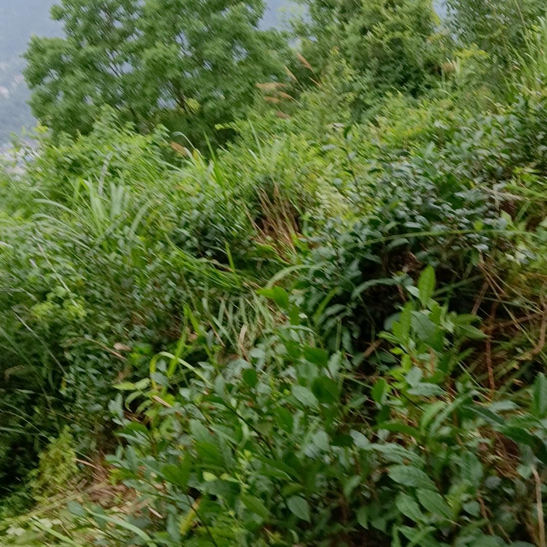 王姐