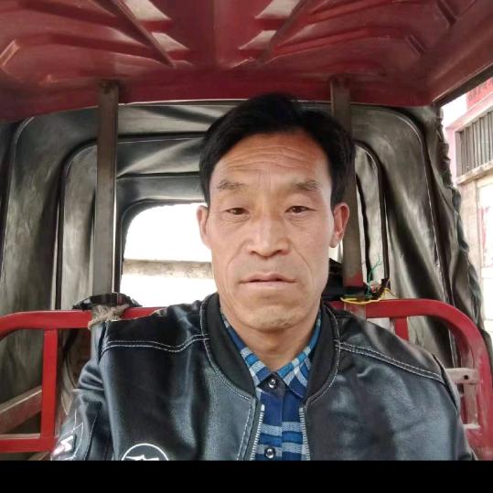 东山再起？唐歌