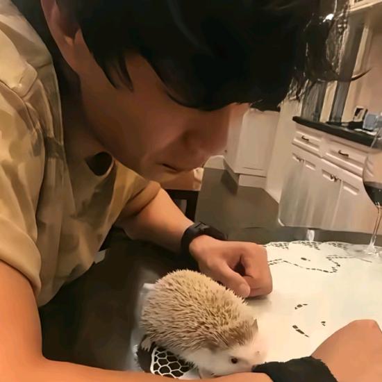 閤🦔