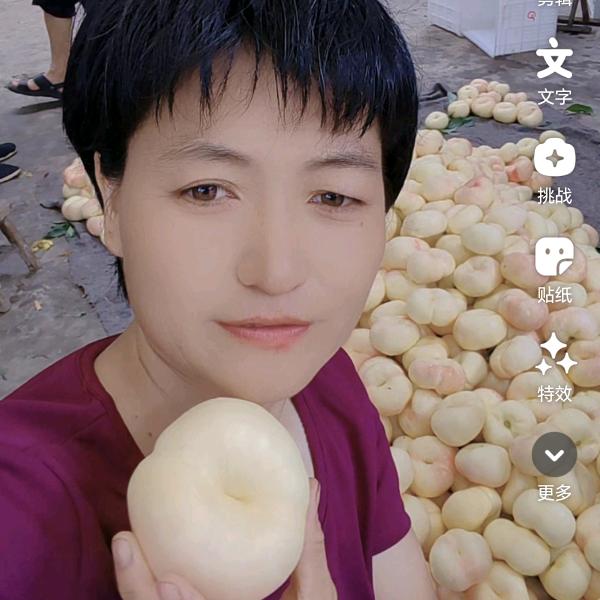 王姐蜜桃（百佳苗木）