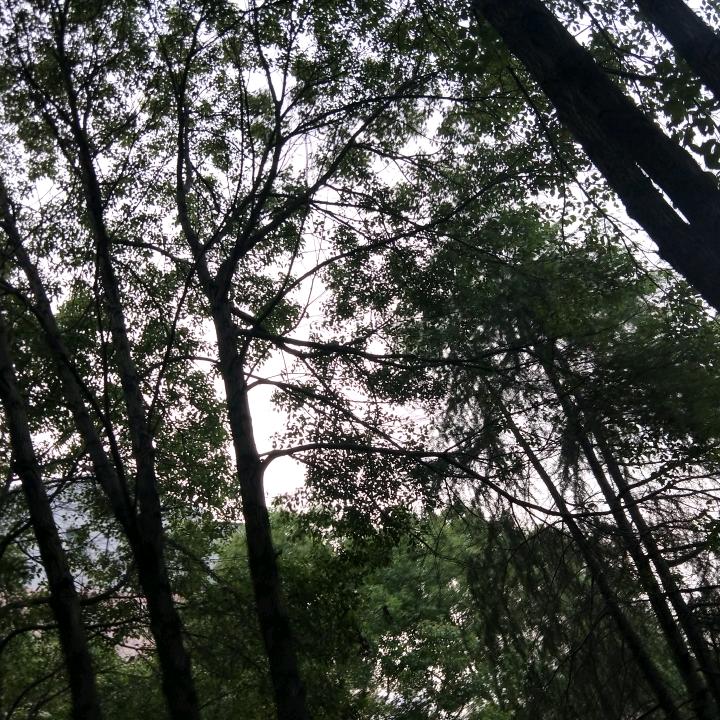 云峰顶