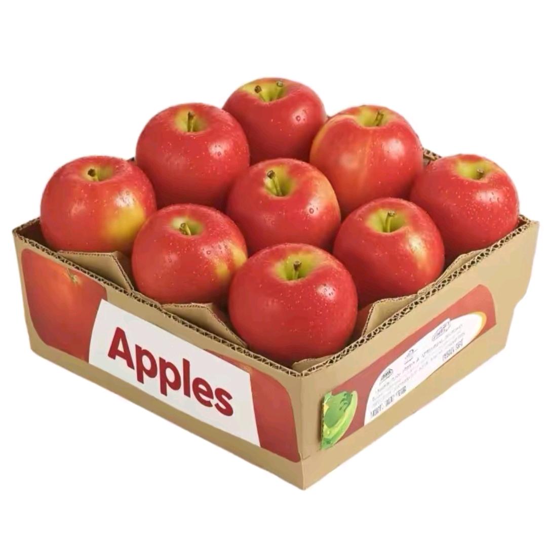 魚（三角洲行动）