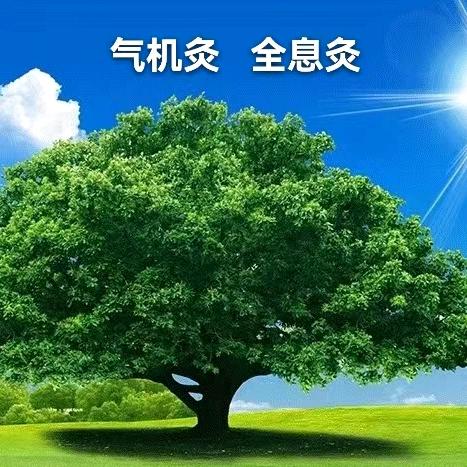 王涛说艾