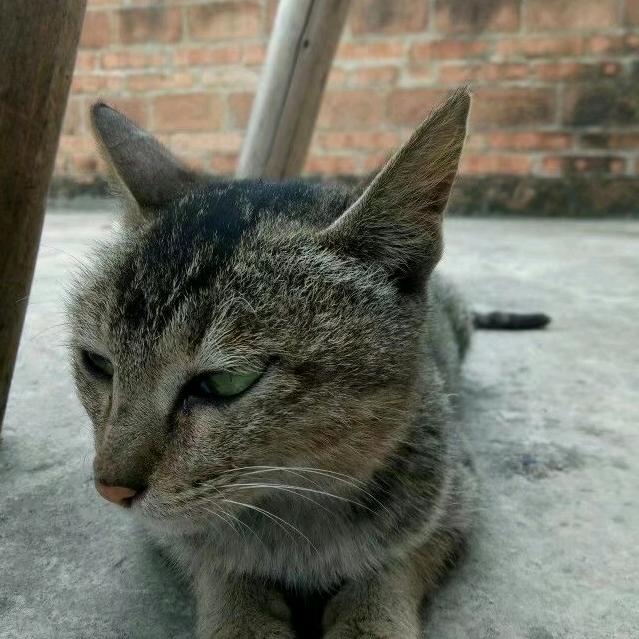 淅淅相遇