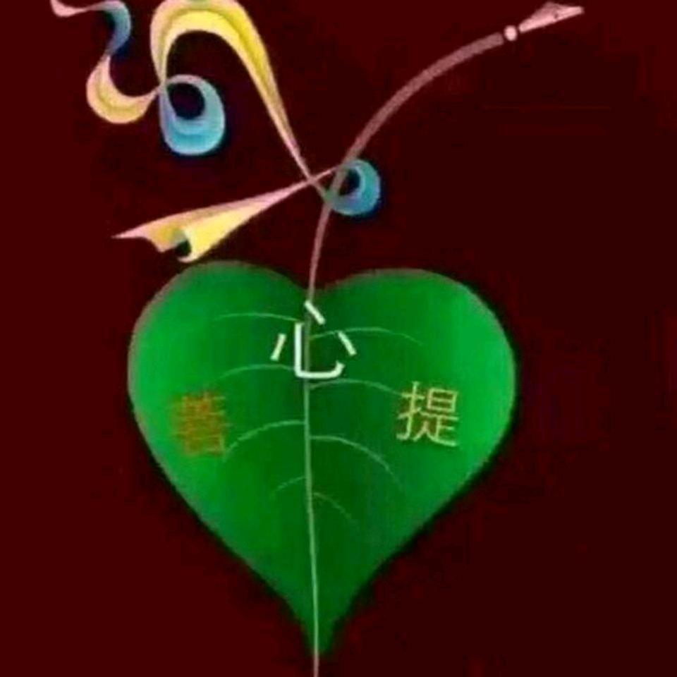 康藏洛珠