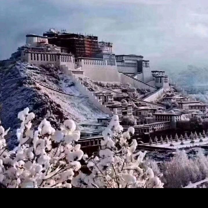 不去的，昨天