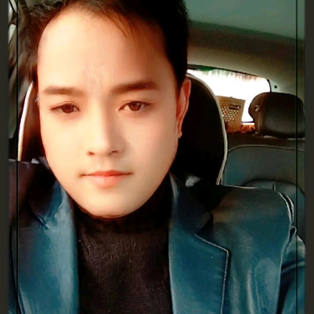 成龙银杏苗木