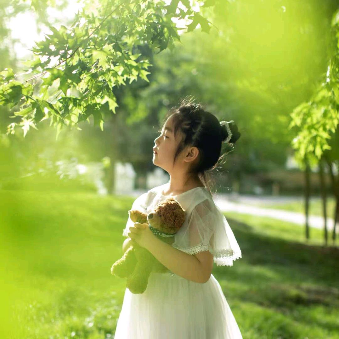 百合花66