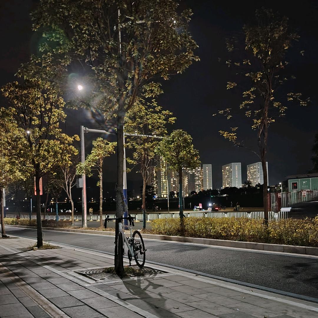 路灯下的自行车