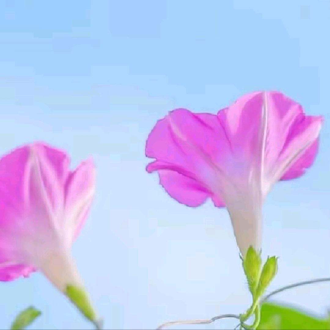 @有你真好