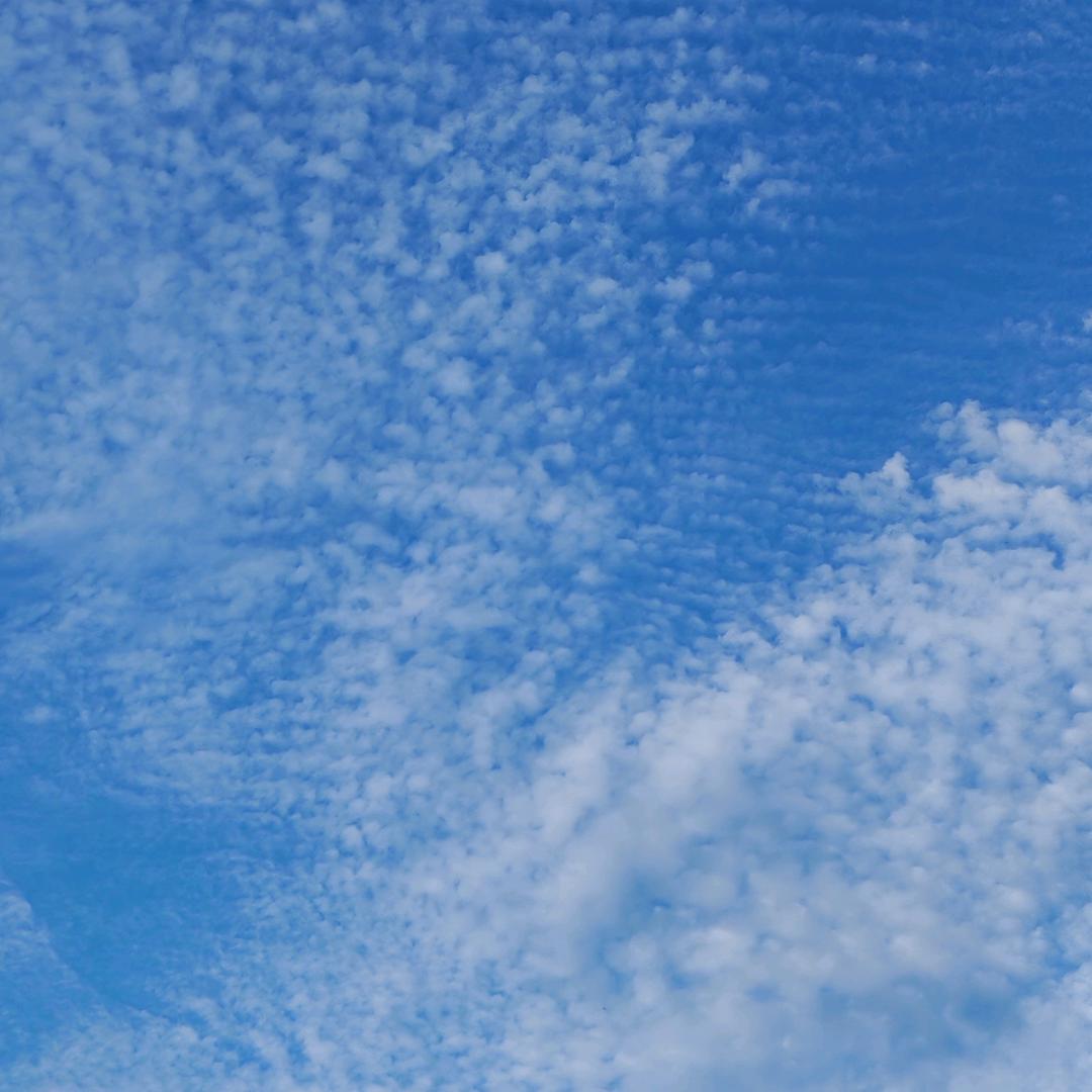 荷包蛋加肉多多21:57