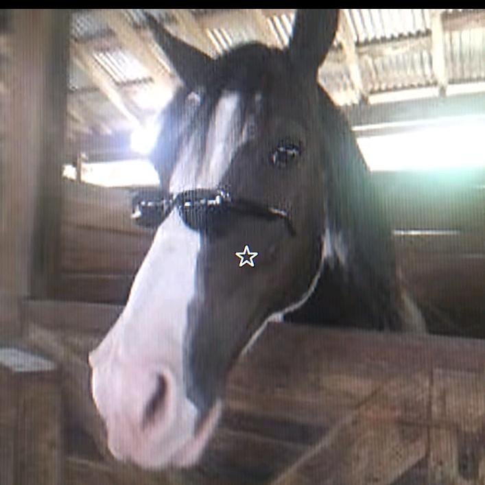 羽毛球好贵不嘻嘻🏸