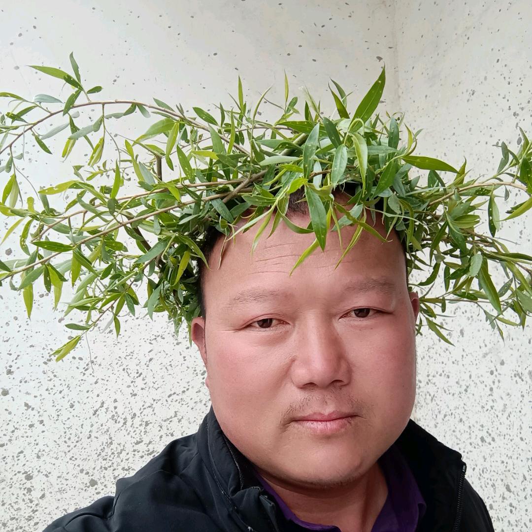 生生不息