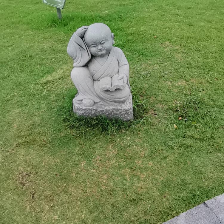 一周来了
