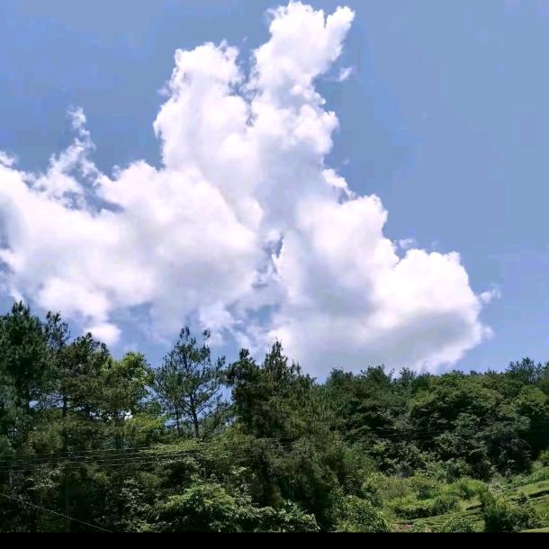 金鸡独立
