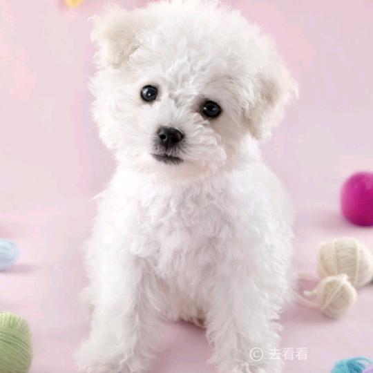 じএve💞⃨鱼在水中ꦿ࿚໌້ᮨ