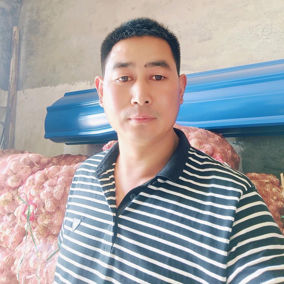 济南大青稞蒜种培育基地