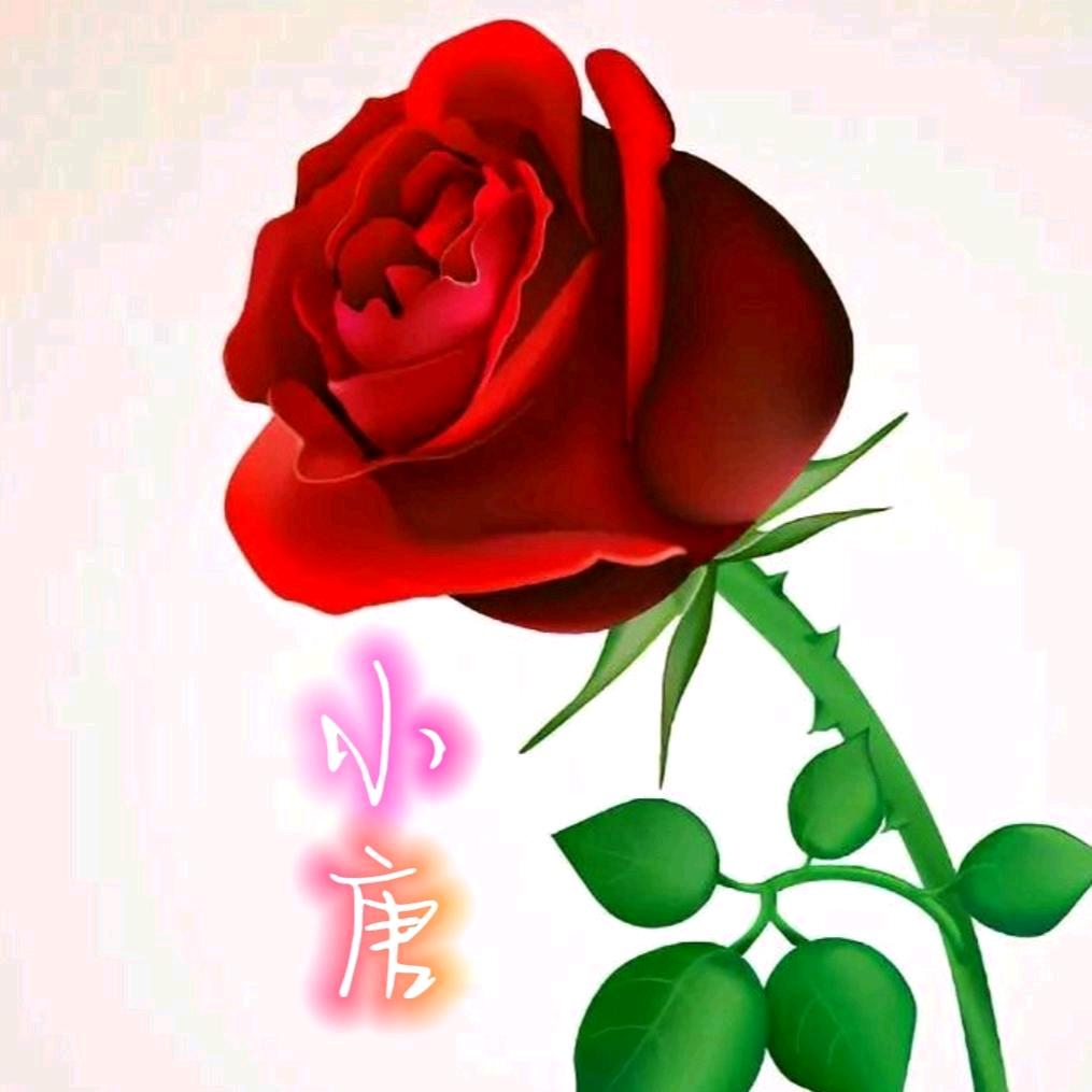 💞💘 小💘唐💘💞
