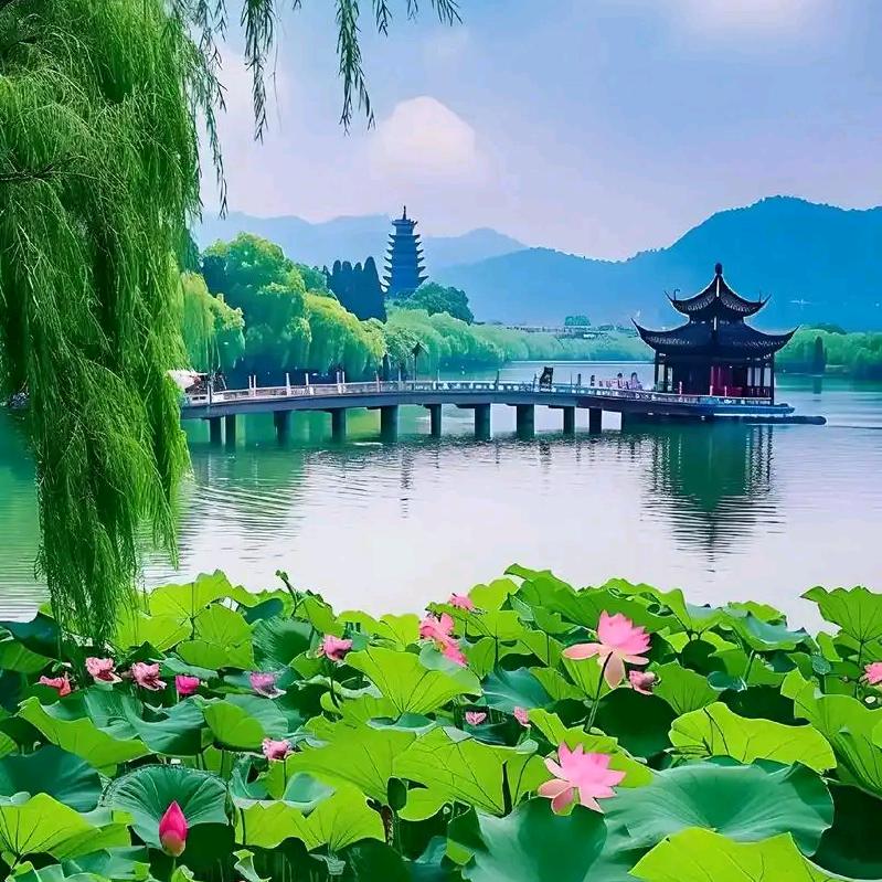 柏安观湖