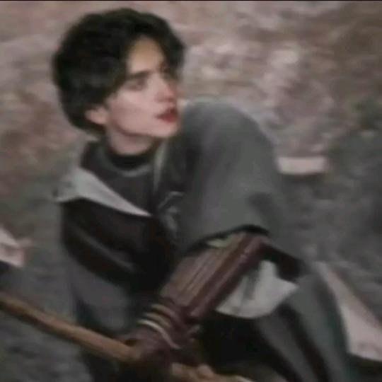 以抛弃小狗为耻