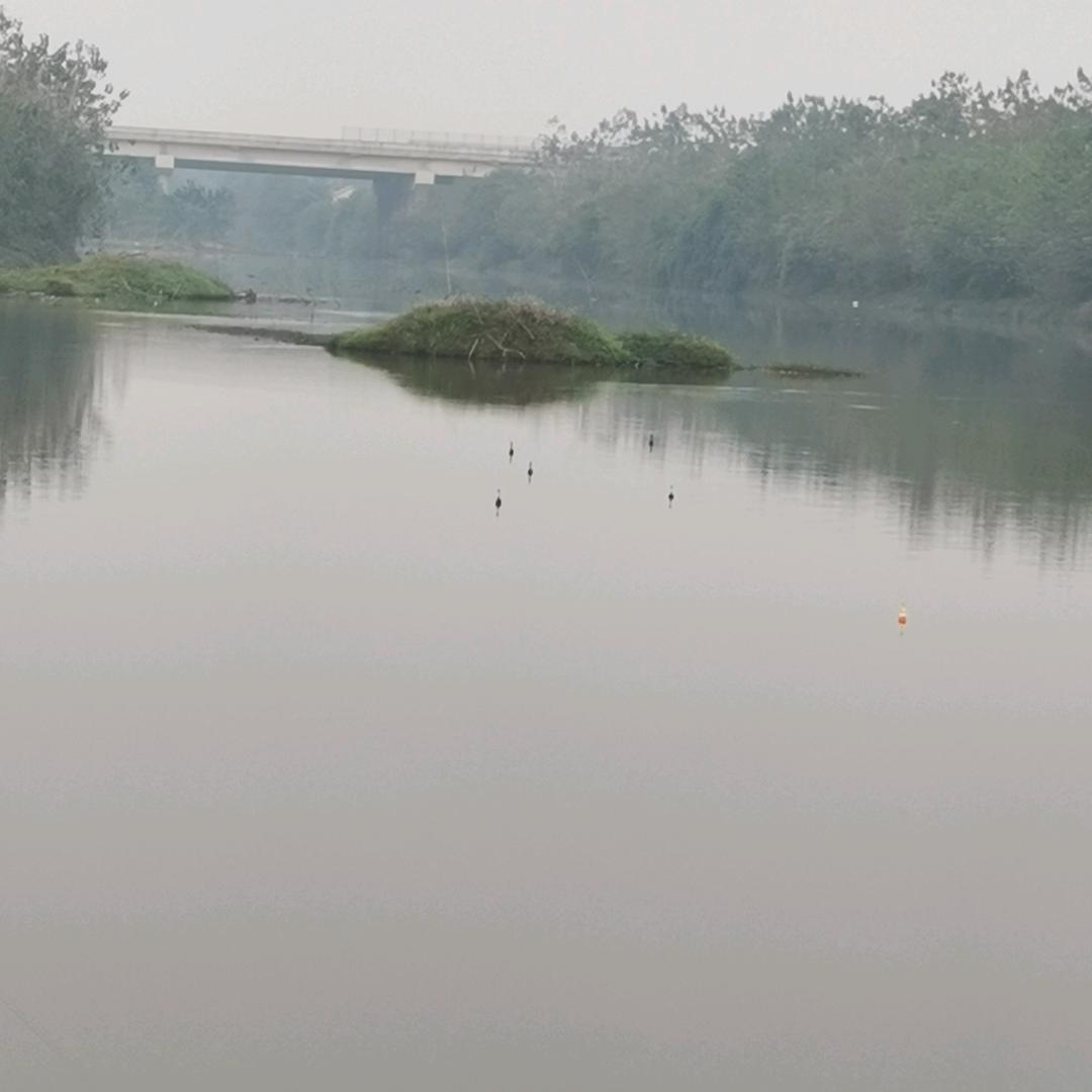 草…