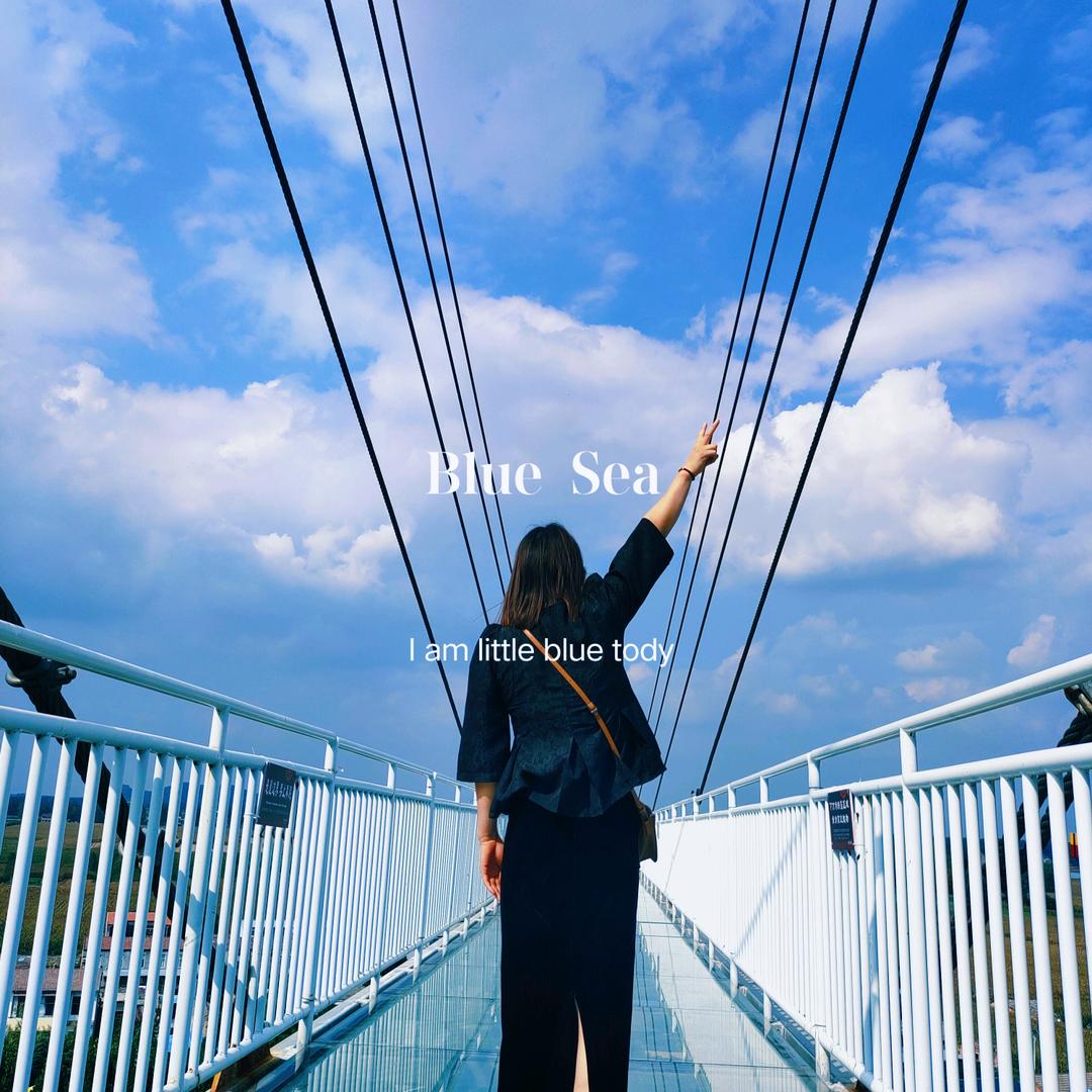 小喵《橱窗有好物》