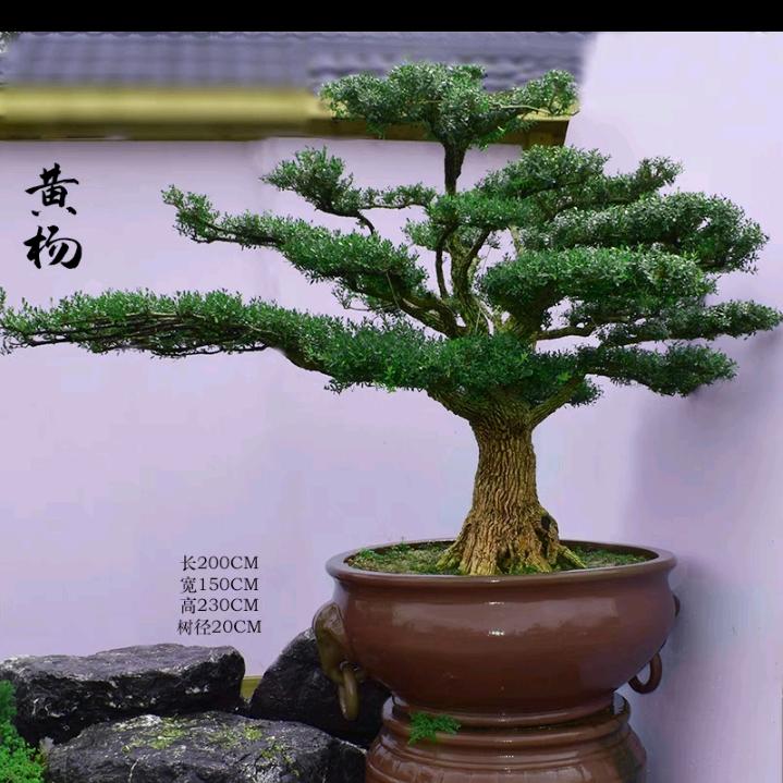 追梦人