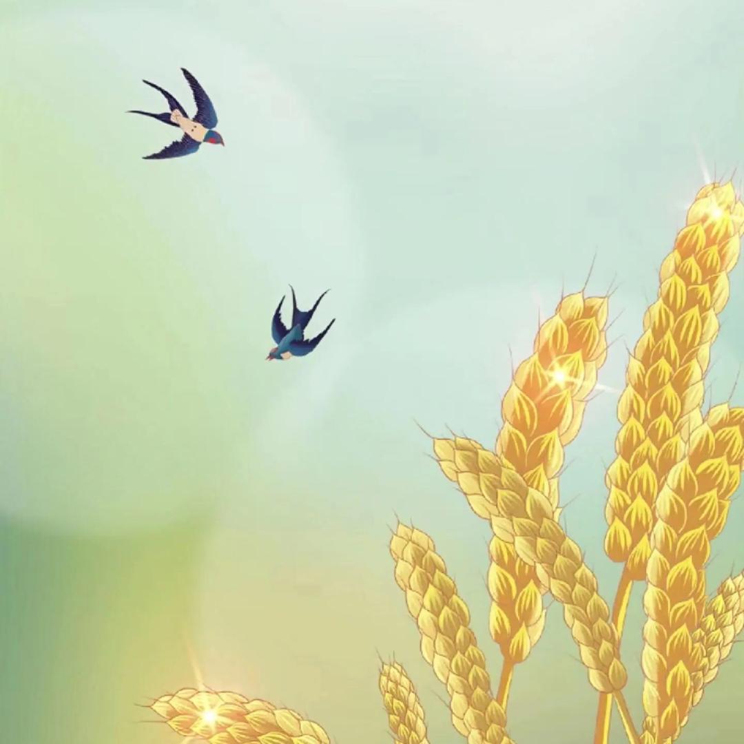 峰景商贸优质商品