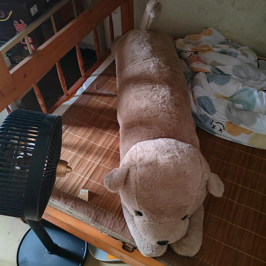 默默的永远爱你