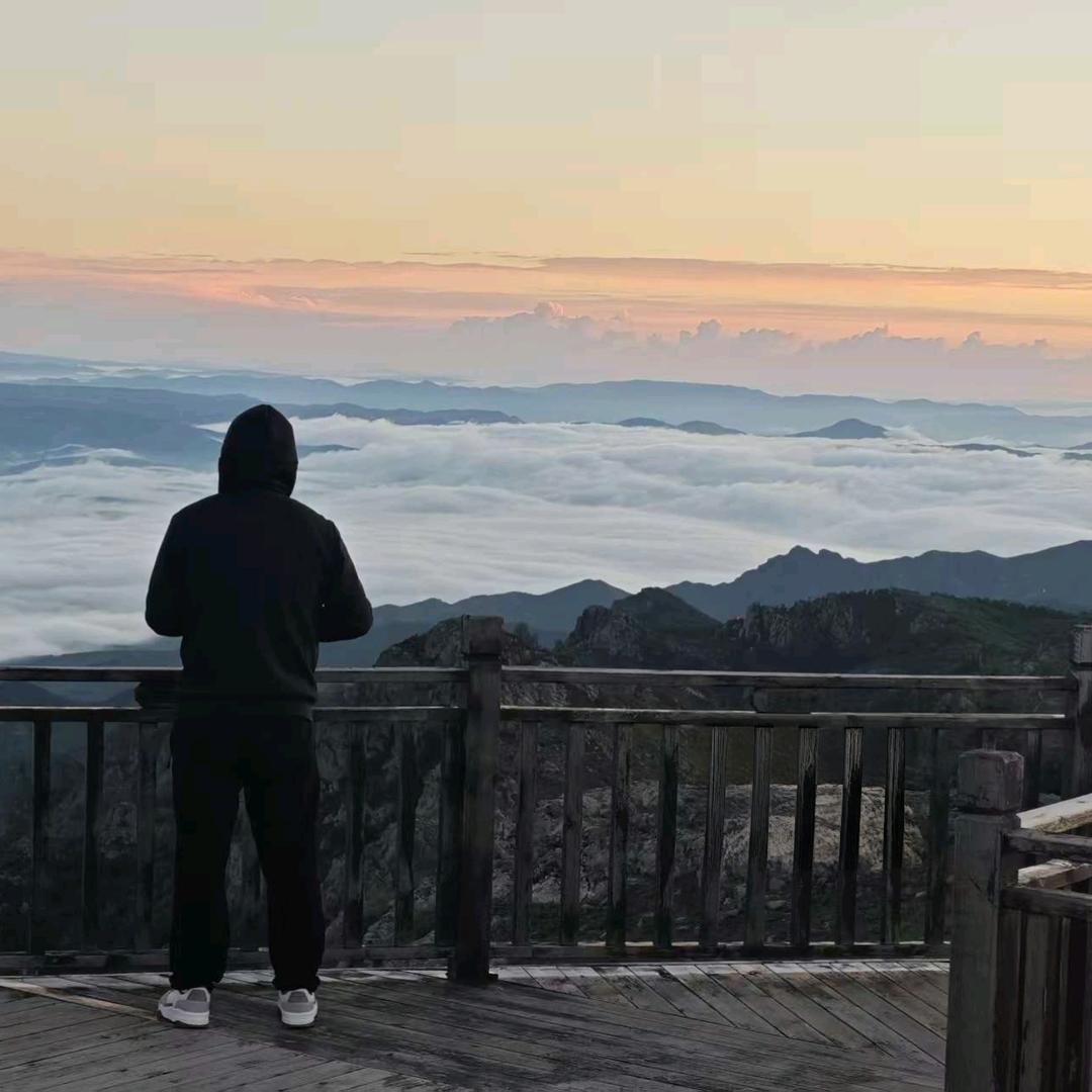 左翼