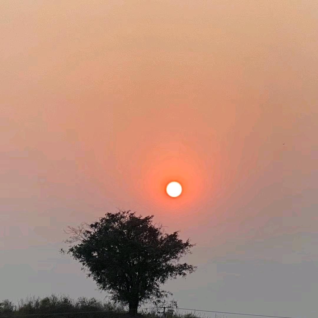 天tian其实也是个王总