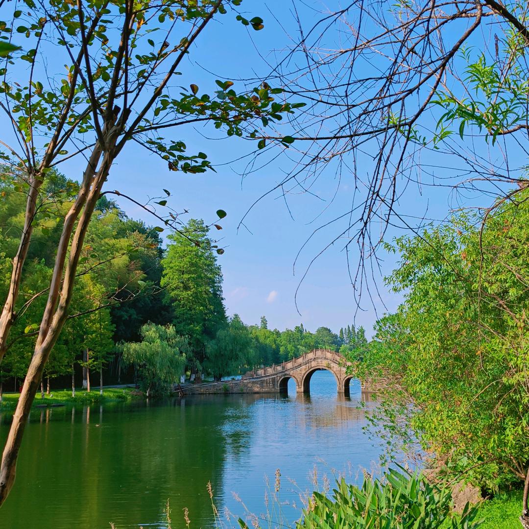 溦溦