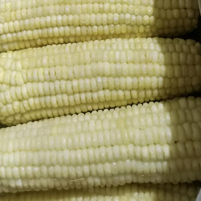 盐城潘黄玉米棒工厂仓库直销