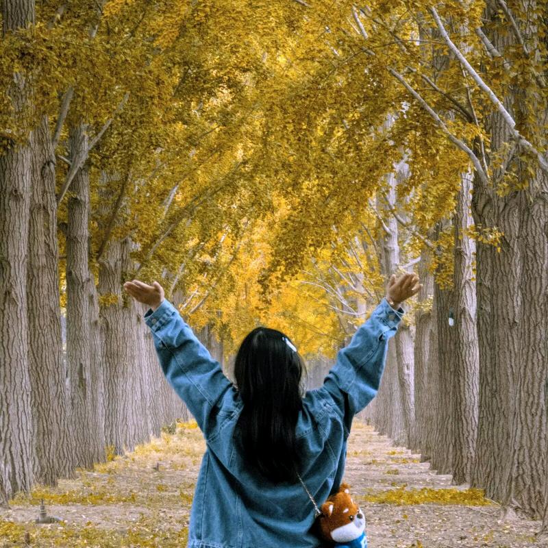 白山茶~