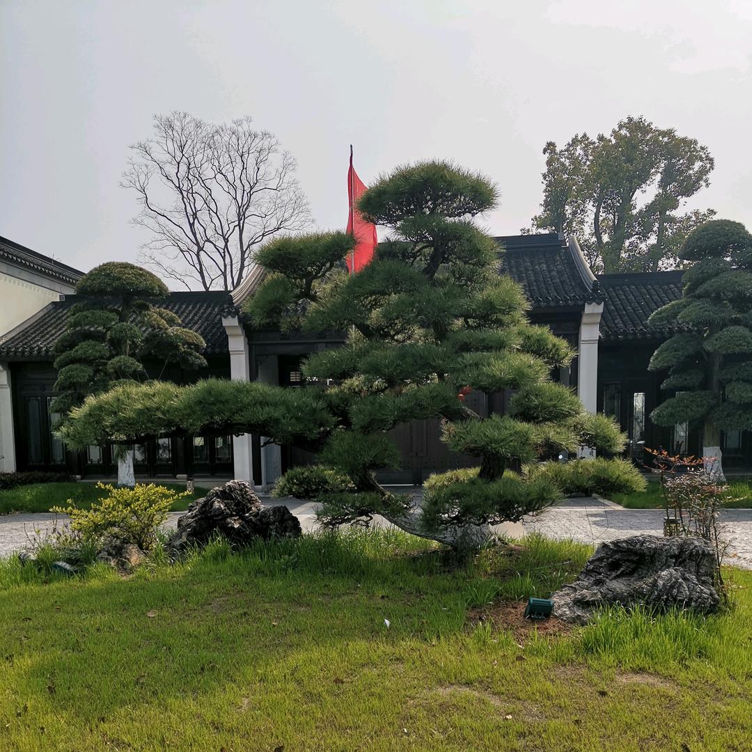 原谅我这一生不羁放纵爱自由