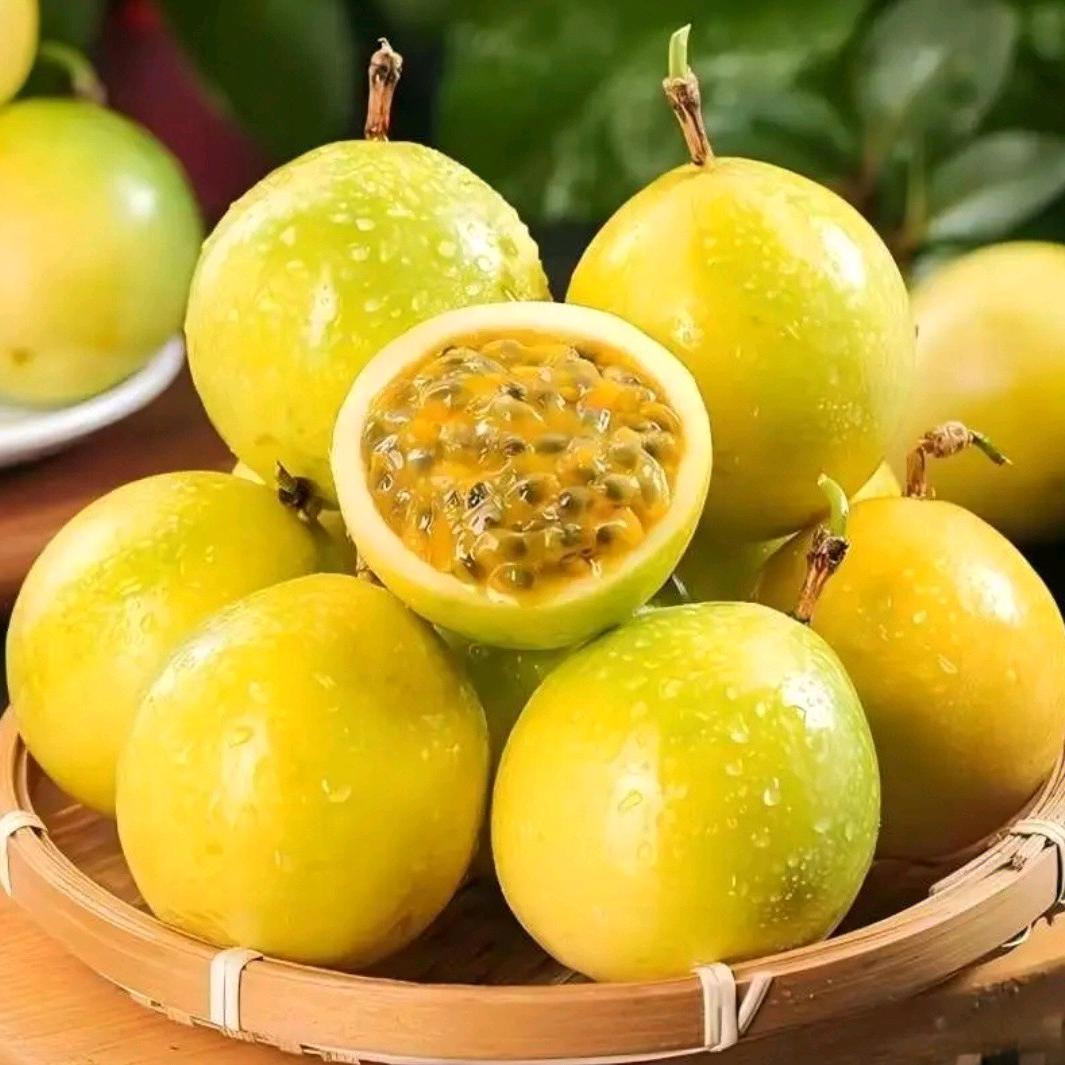 패션후