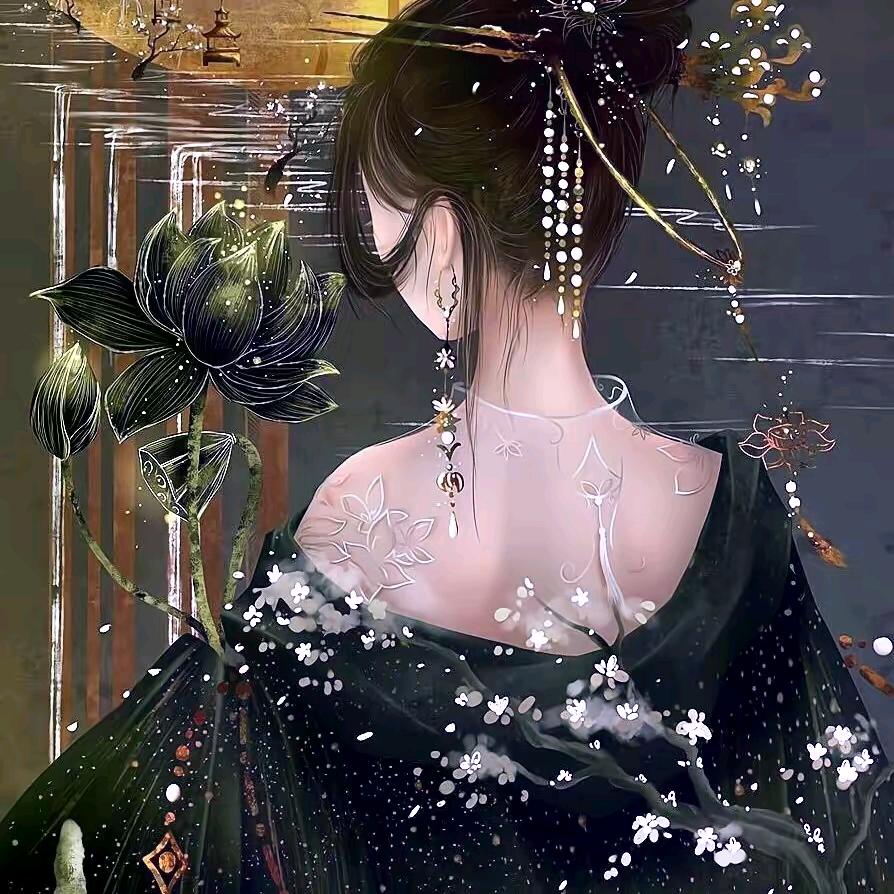 诸葛毯毯