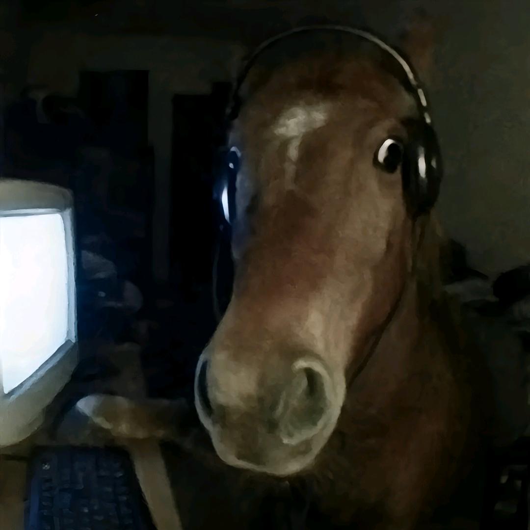 黄不至