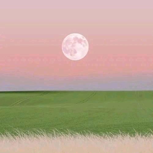 心再痛&也别忘了微笑