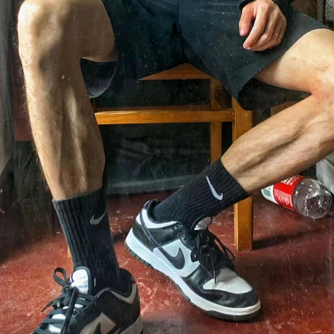 鑫鑫真行（限流版）