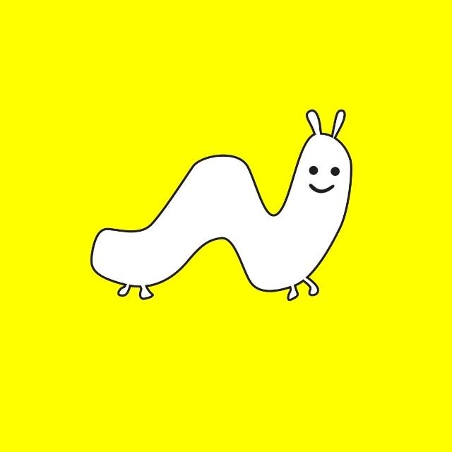 焦作毛毛虫