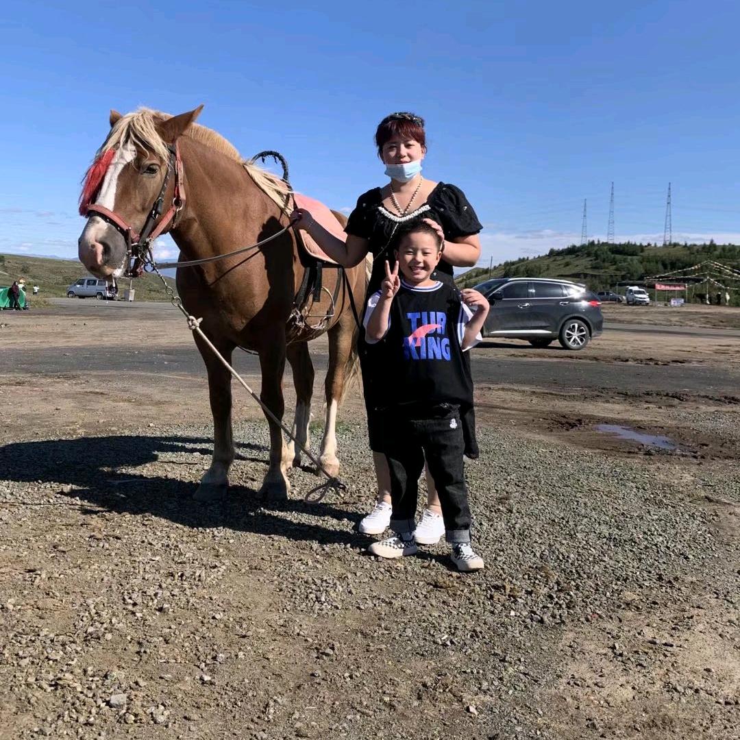 唐县小刘鲜牛羊肉