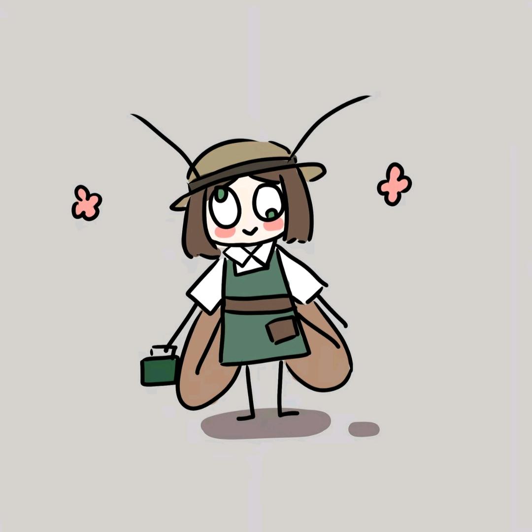 老铁打不打第五？