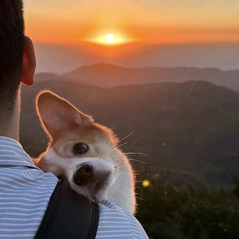 时空是个圆⭕️